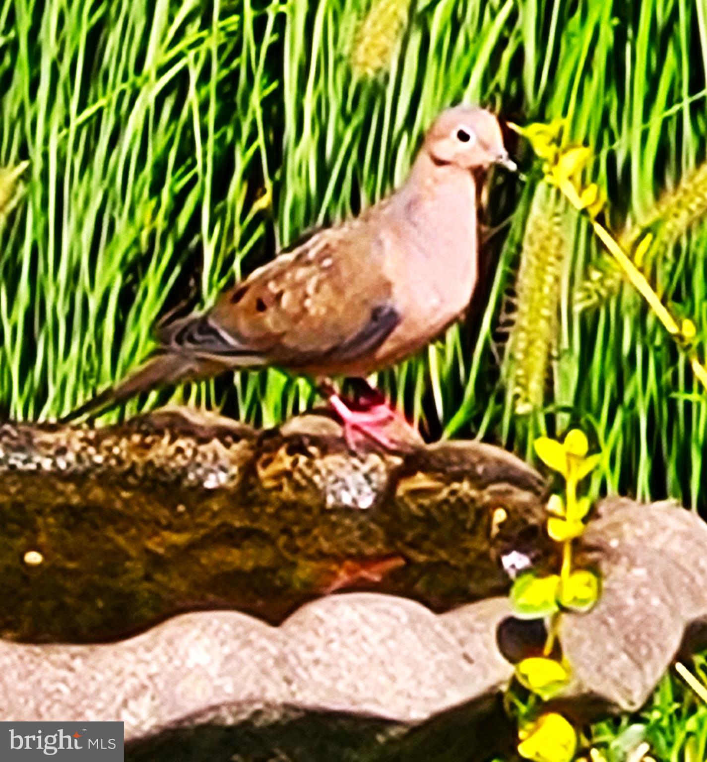 ESTATES AT LEEWOOD - Residential