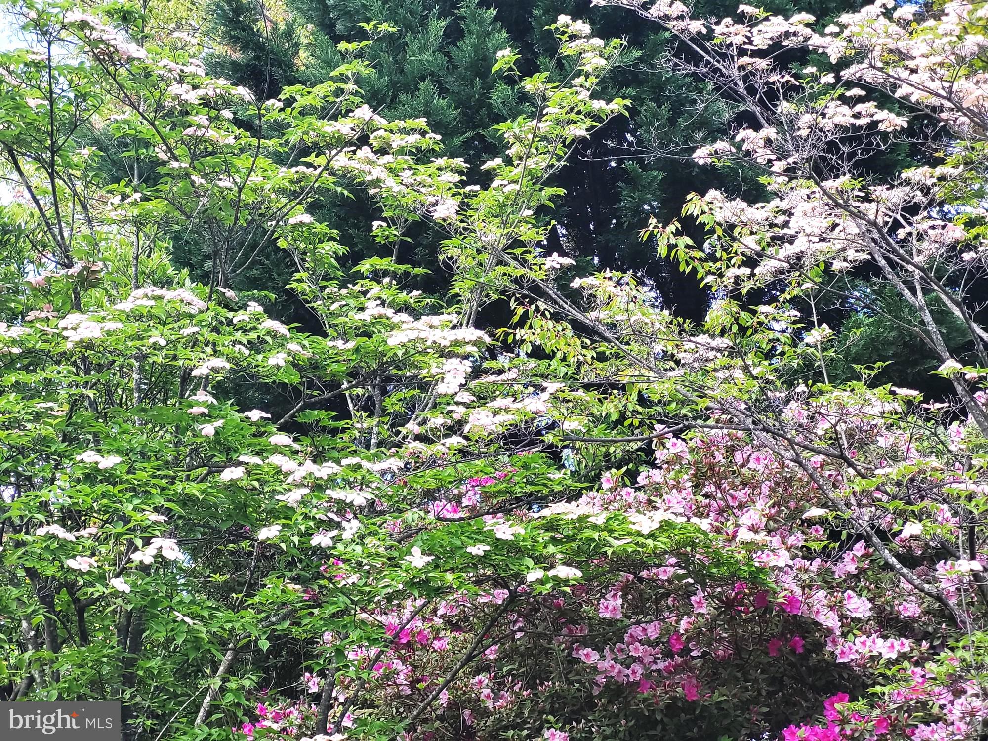 ESTATES AT LEEWOOD - Residential