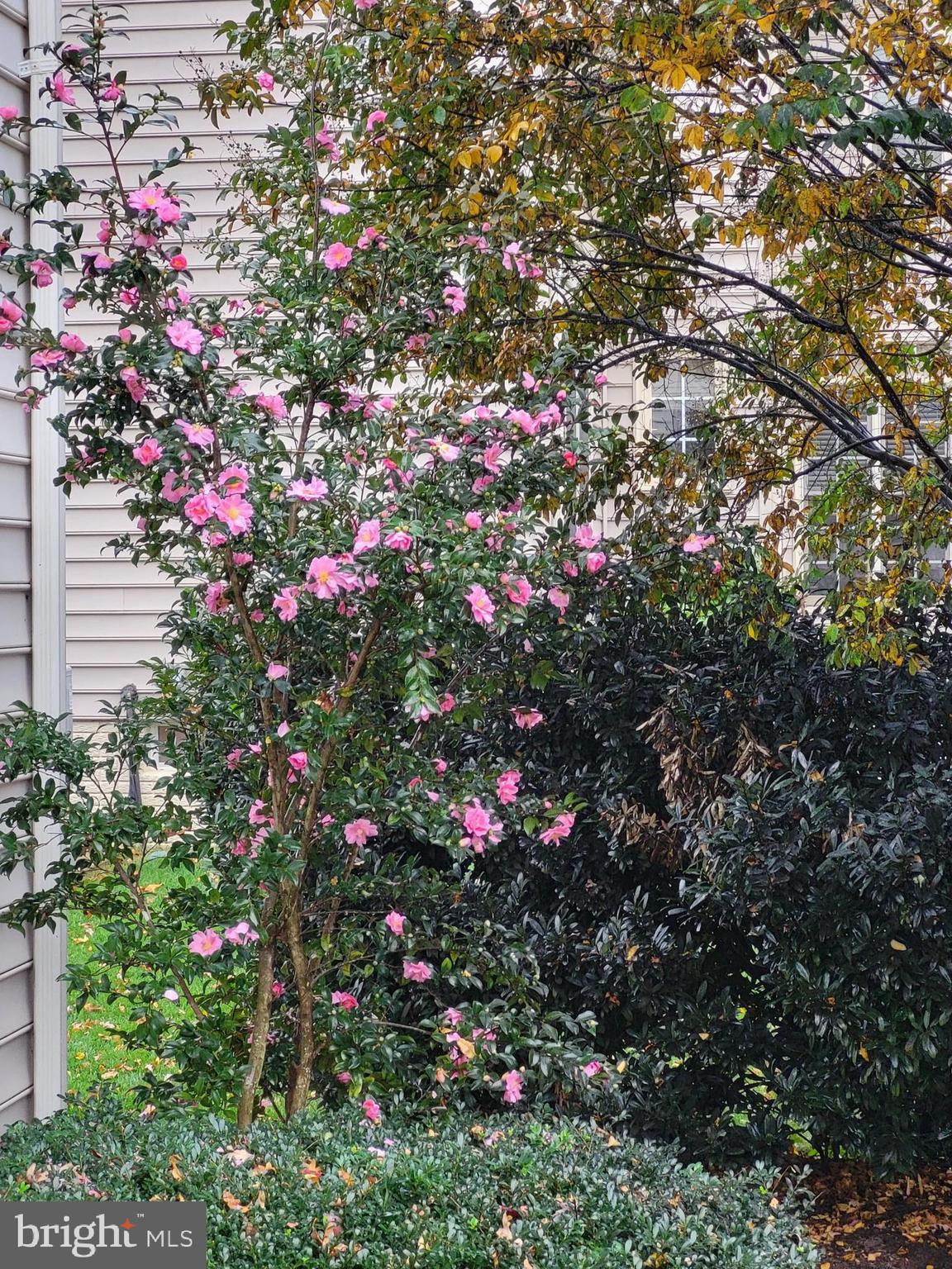 ESTATES AT LEEWOOD - Residential