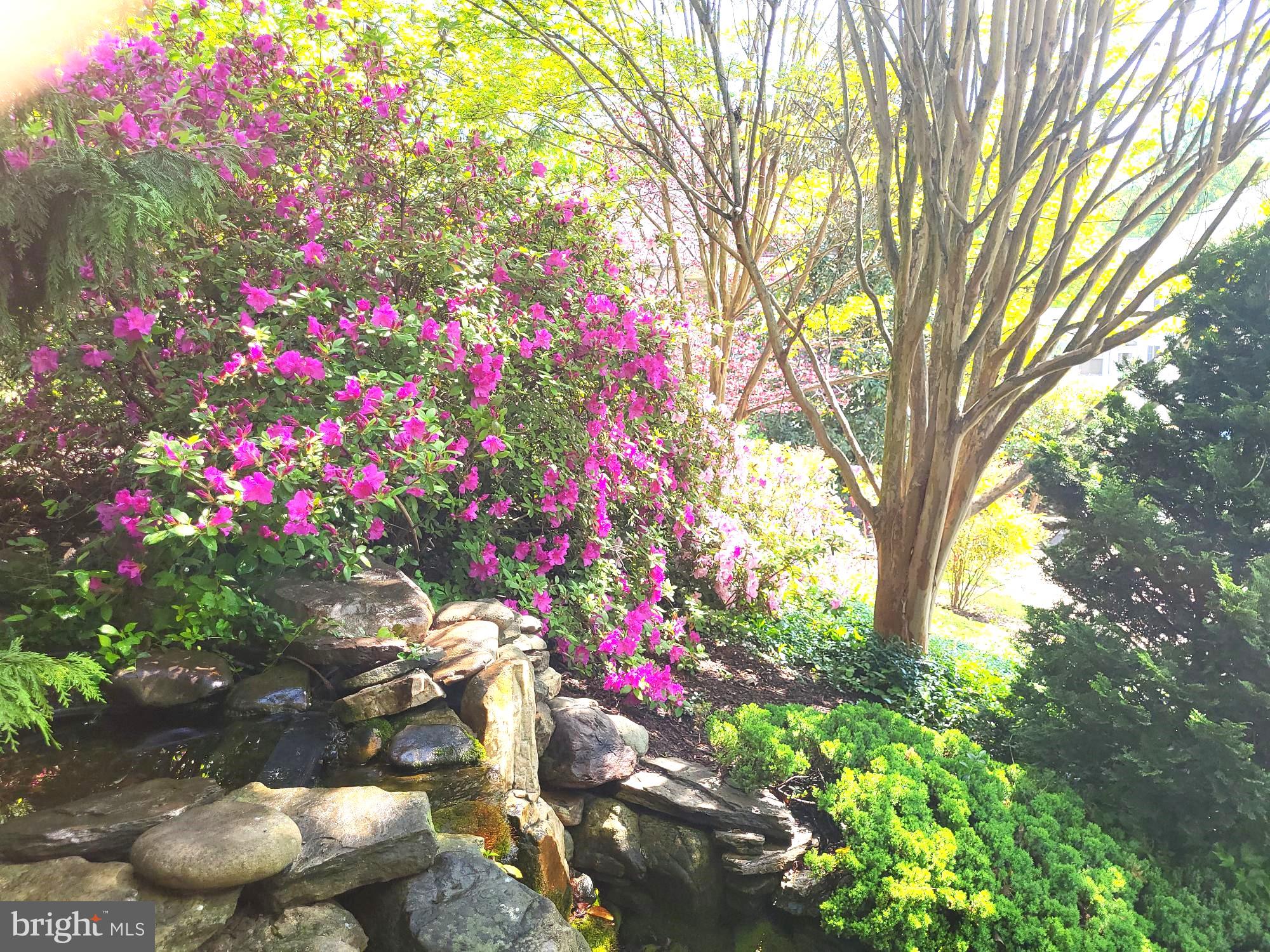 ESTATES AT LEEWOOD - Residential