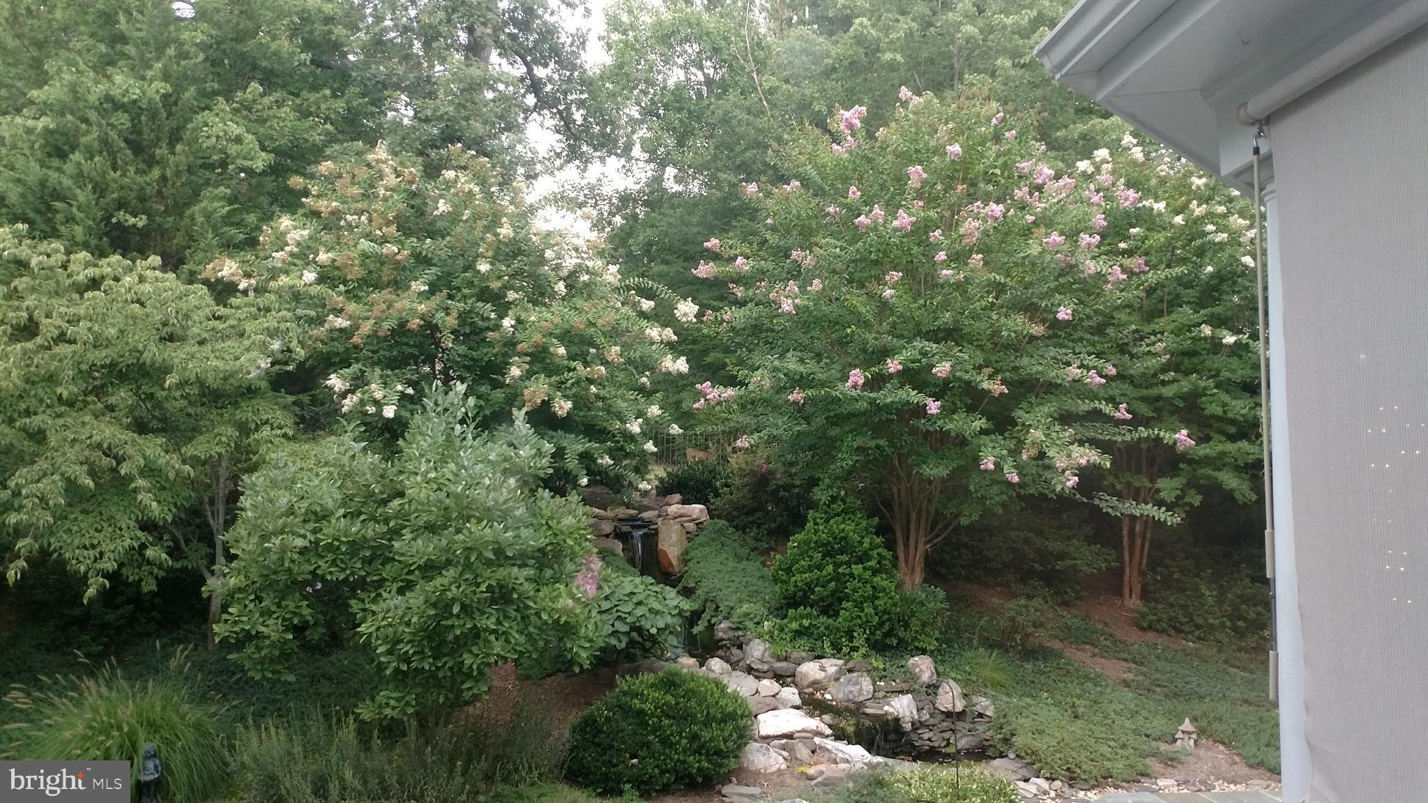 ESTATES AT LEEWOOD - Residential