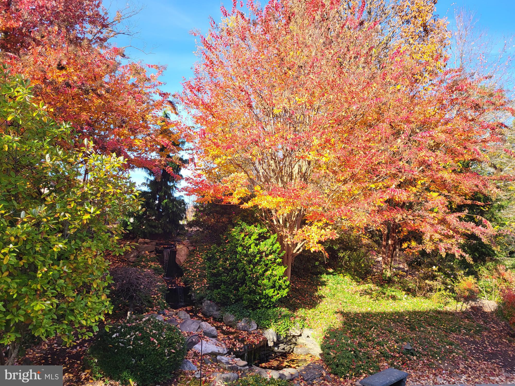 ESTATES AT LEEWOOD - Residential