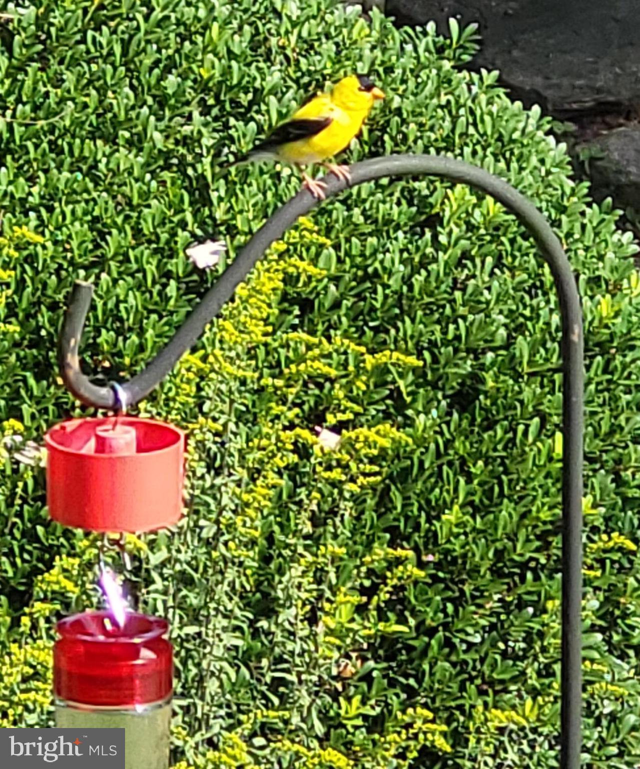 ESTATES AT LEEWOOD - Residential