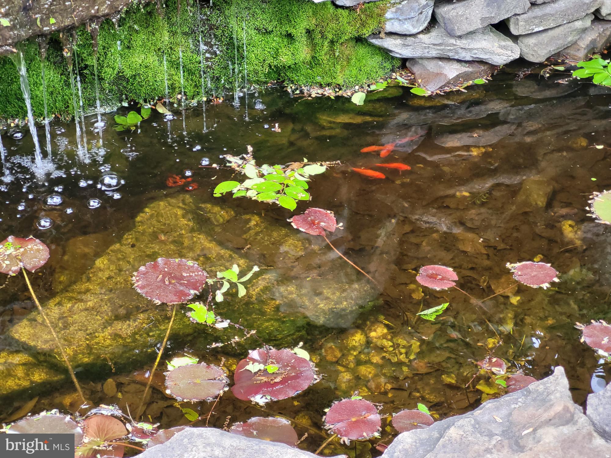 ESTATES AT LEEWOOD - Residential