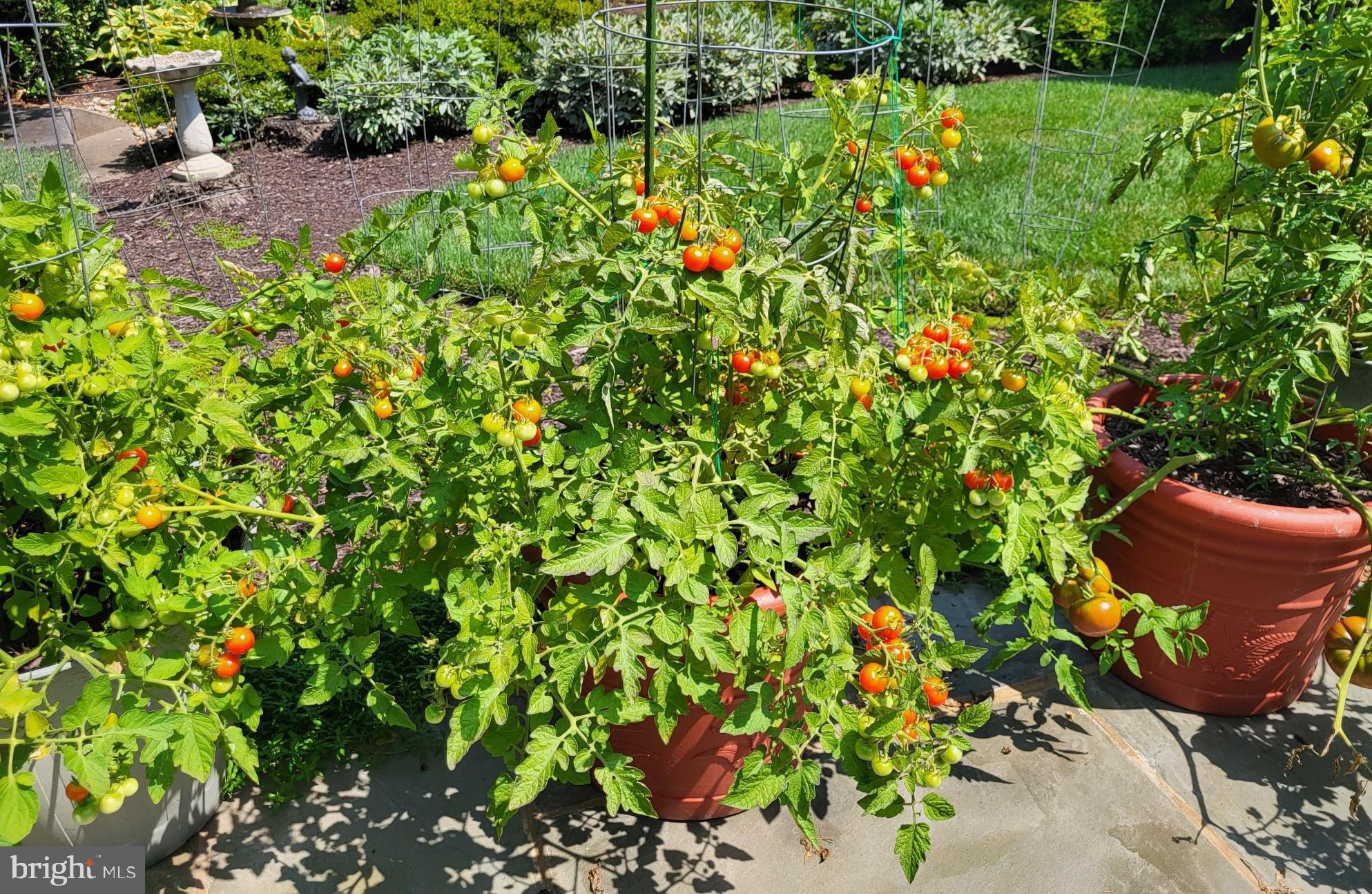 ESTATES AT LEEWOOD - Residential