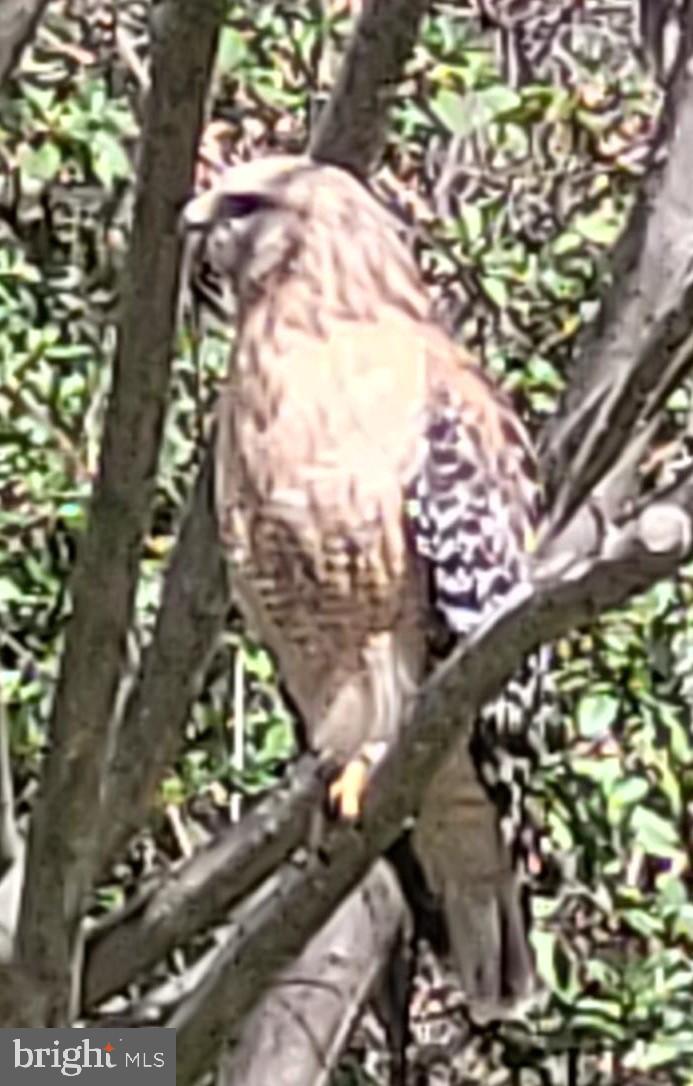 ESTATES AT LEEWOOD - Residential