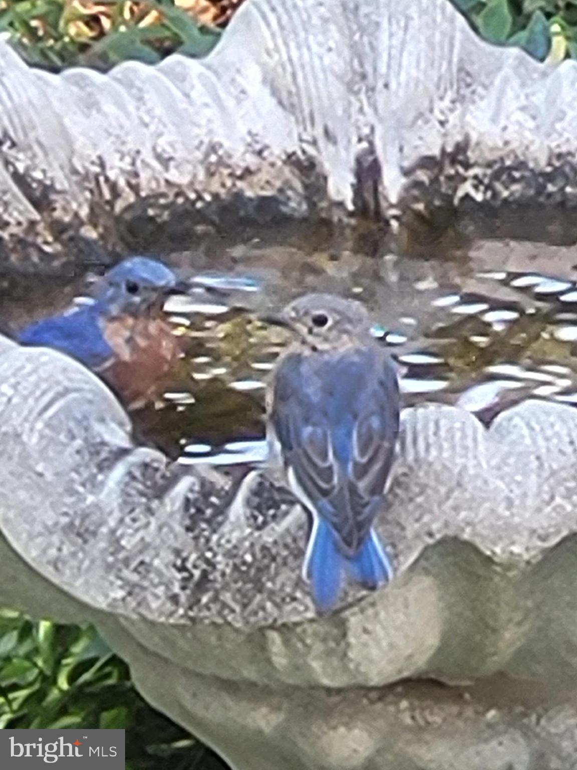 ESTATES AT LEEWOOD - Residential