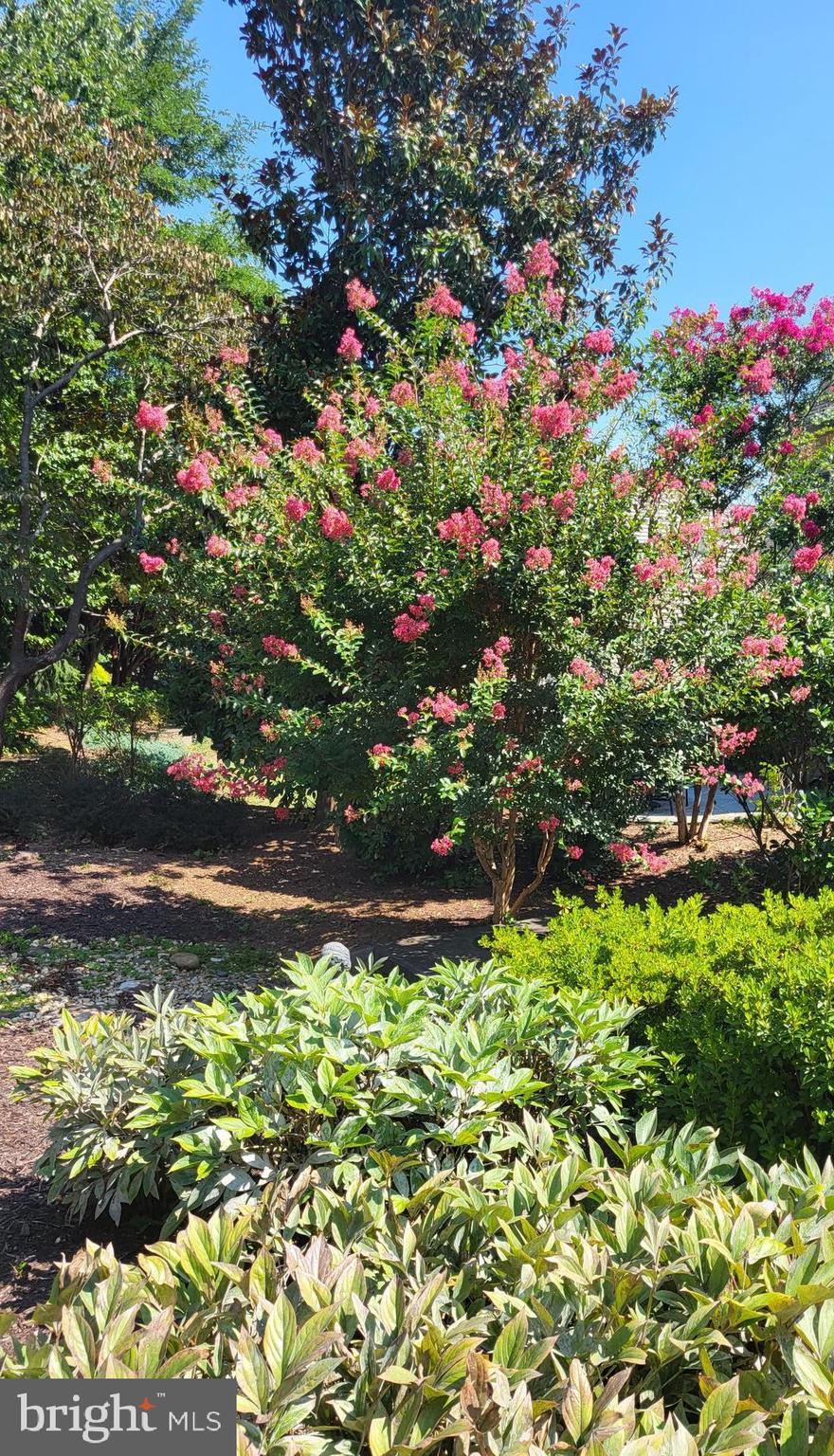 ESTATES AT LEEWOOD - Residential