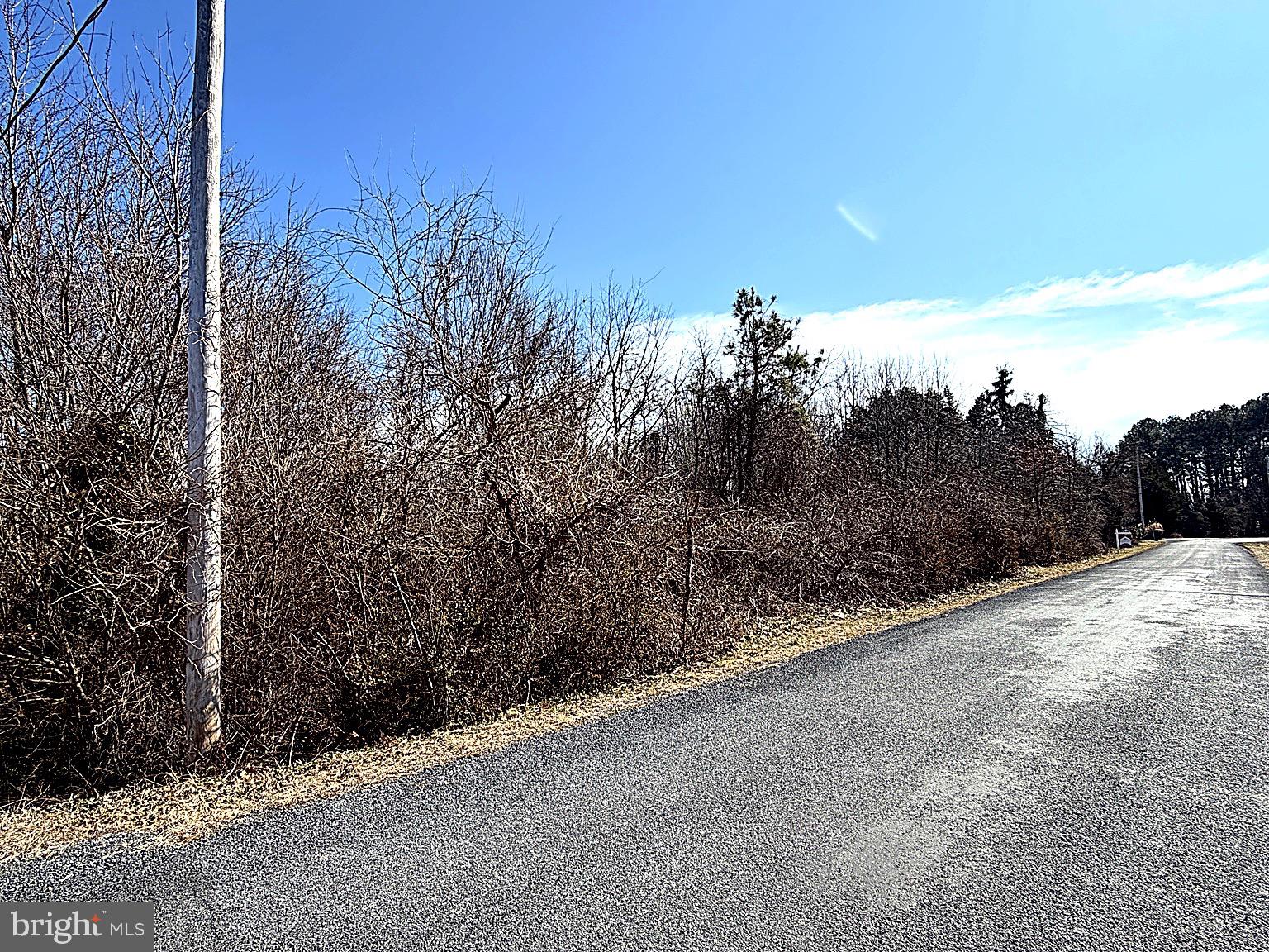 AVENUE - Residential