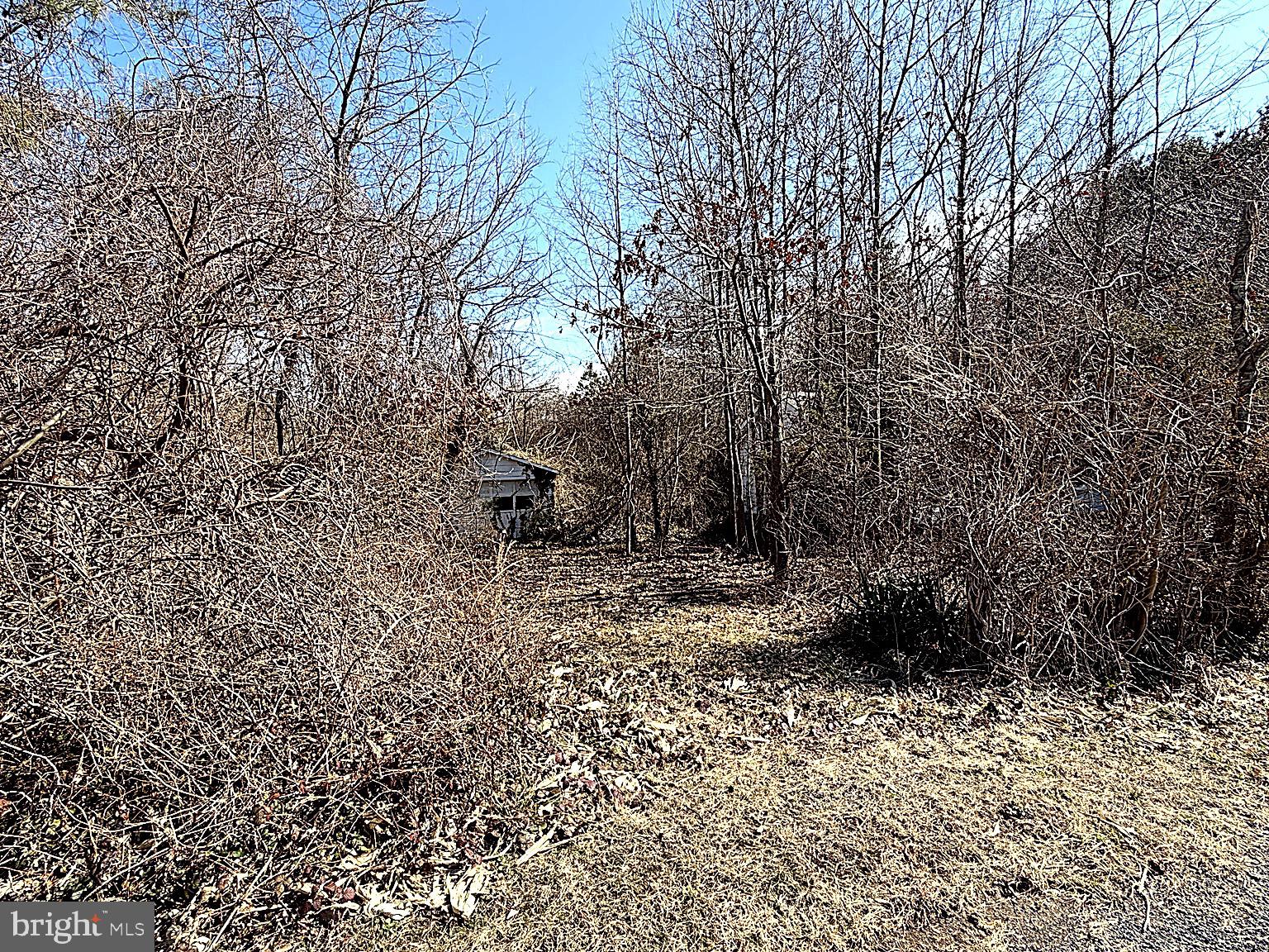 AVENUE - Residential