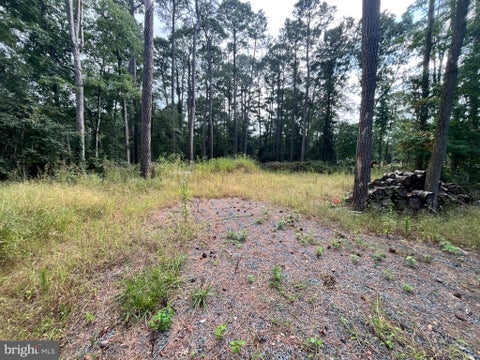 Vacant Land For Sale - Holly Oak Drive #LOT6E<br/> LAUREL, DE 19956