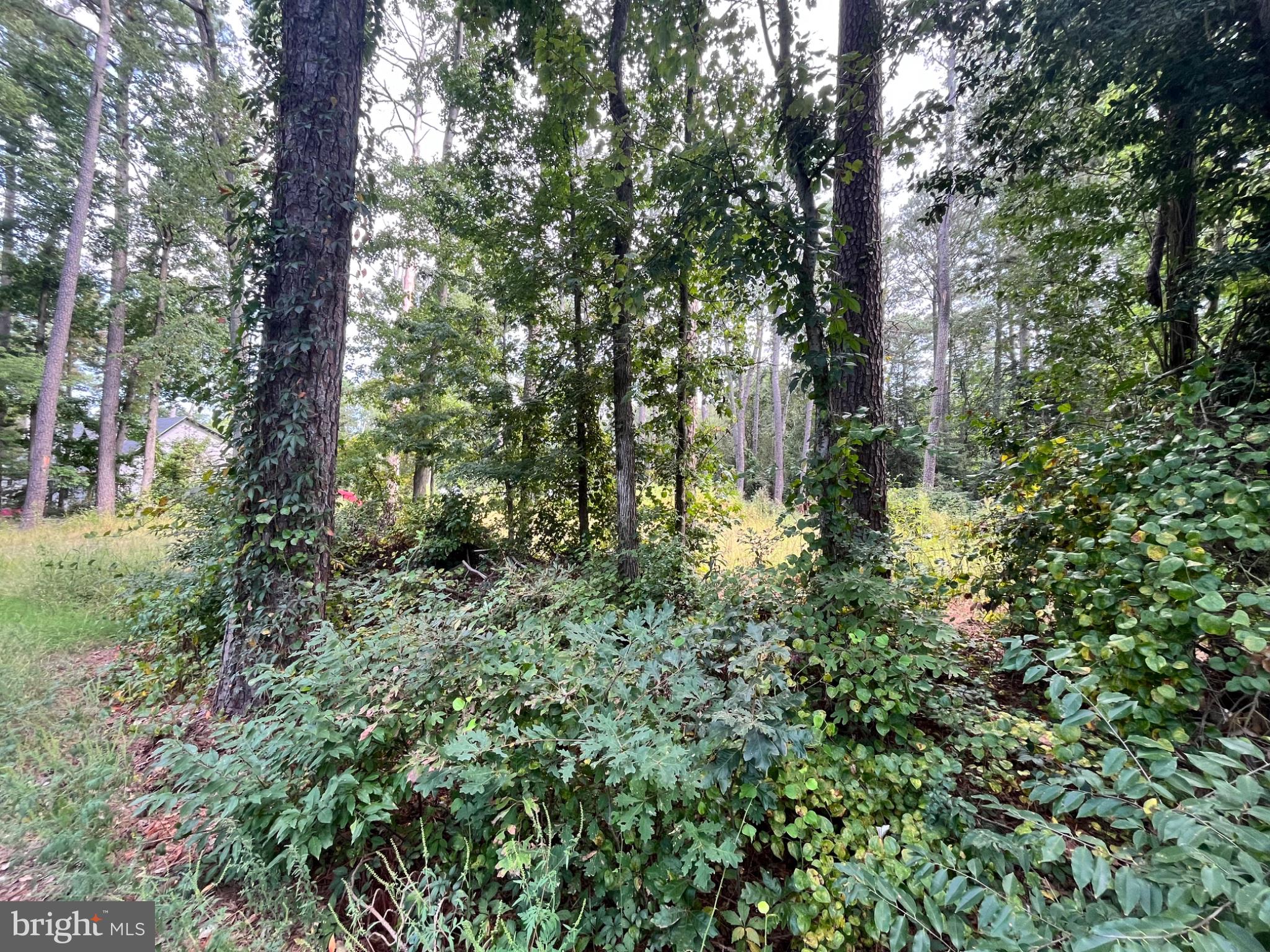0 HOLLY OAK DRIVE LOT#6E