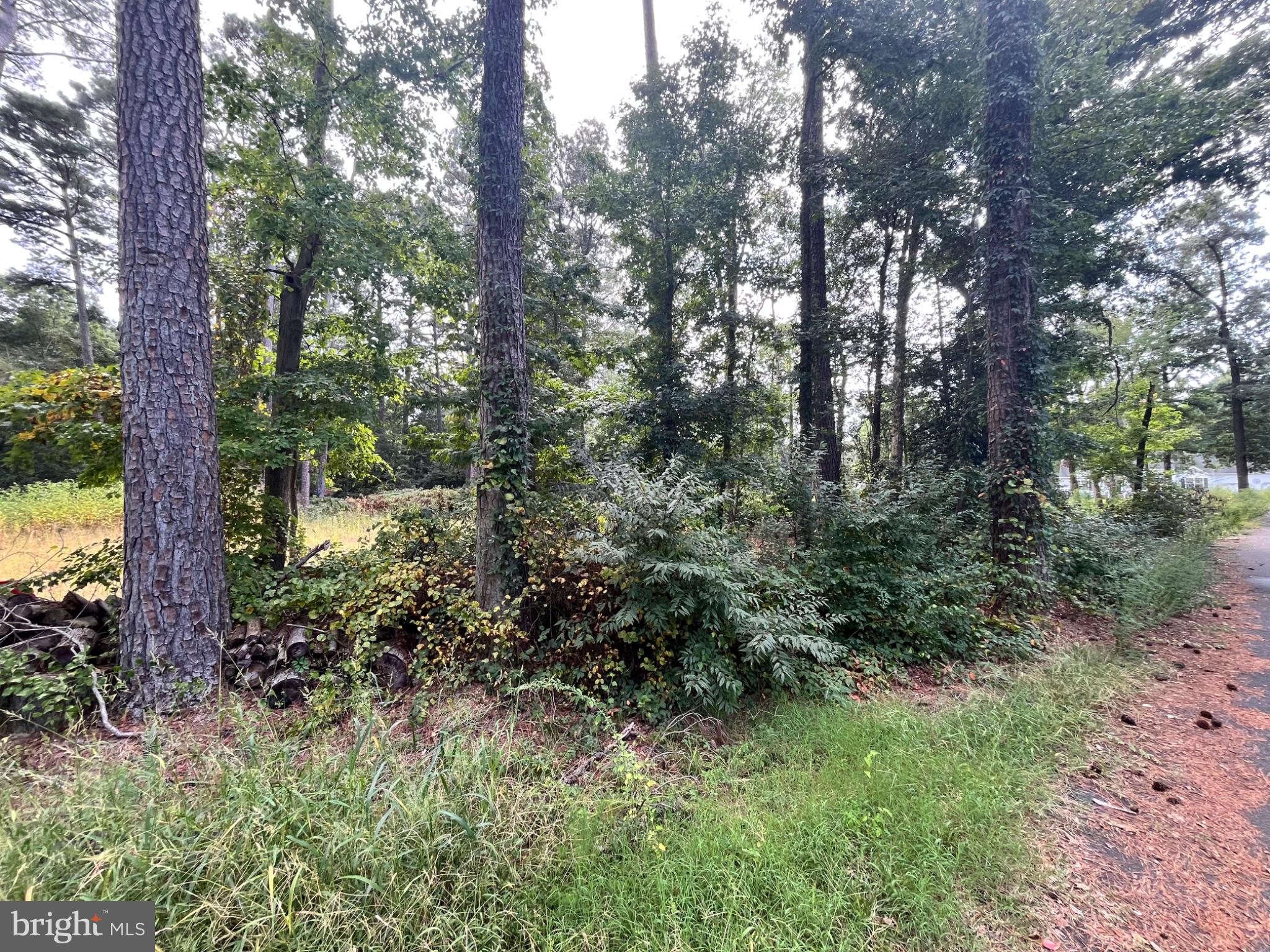 0 HOLLY OAK DRIVE LOT#6E