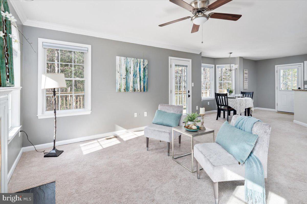 WILD ACRES ESTATES - Residential