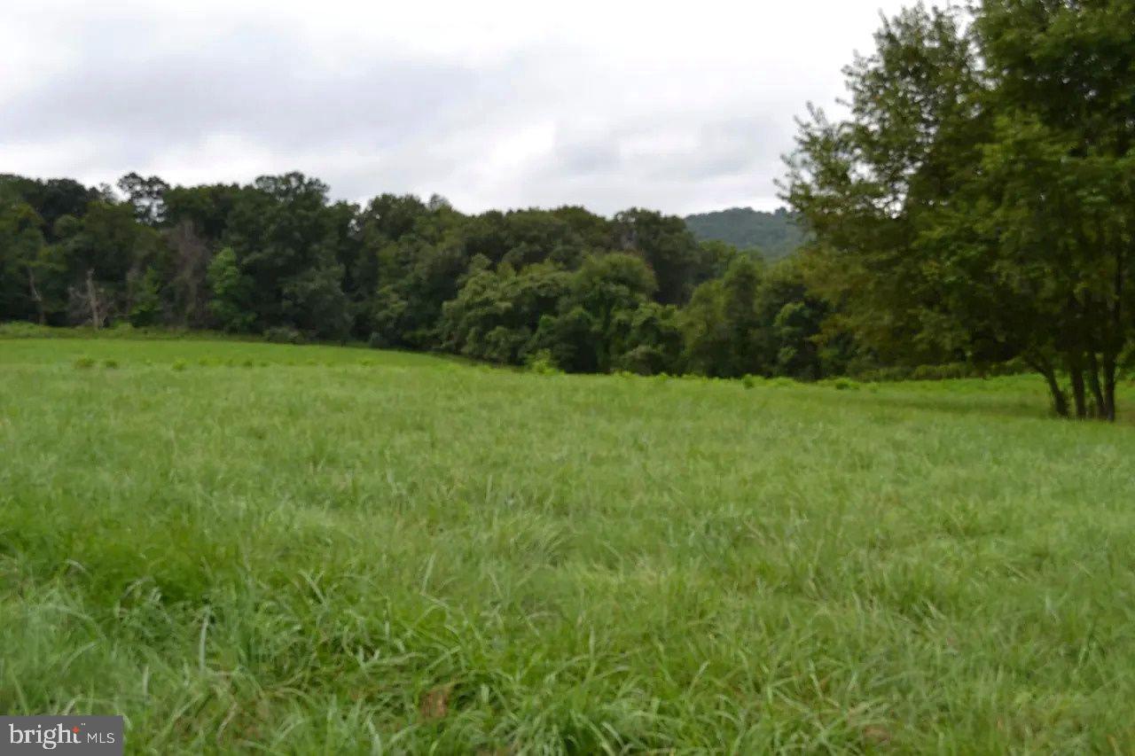 4 POTOMAC OVERLOOK LANE