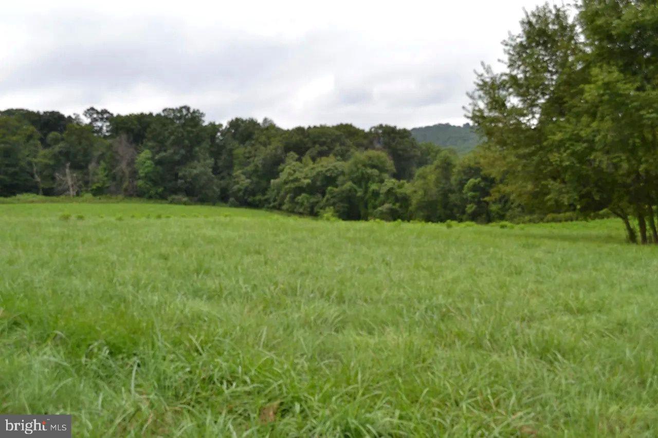 4 POTOMAC OVERLOOK LANE
