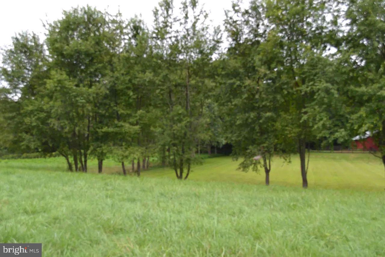 4 POTOMAC OVERLOOK LANE