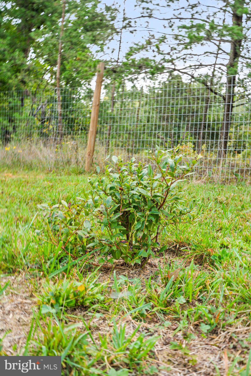 FLUVANNA - Residential