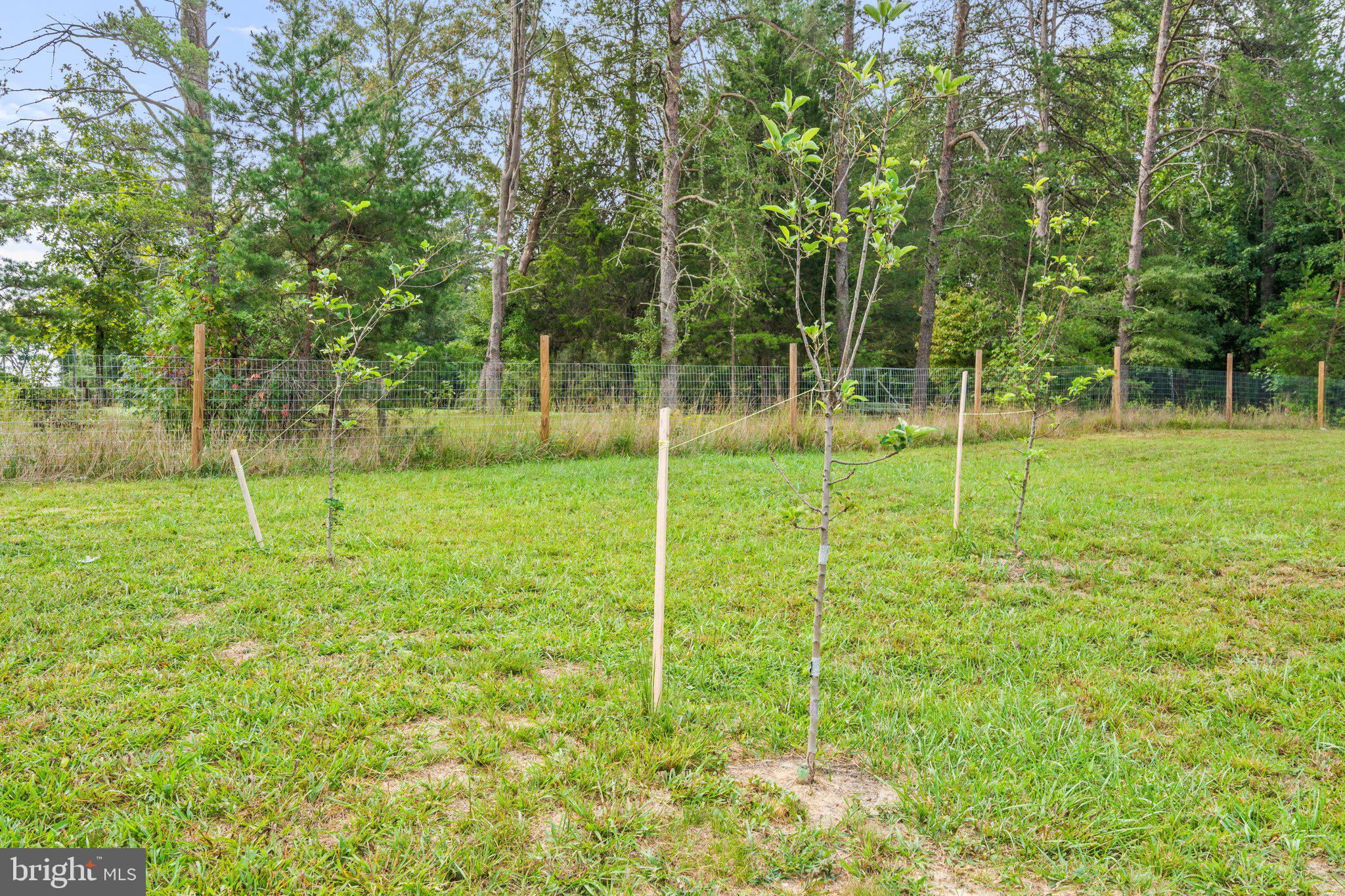 FLUVANNA - Residential