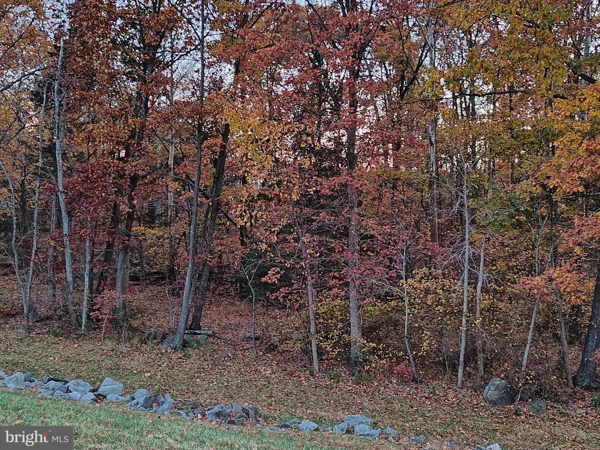 LIBERTY PARK - Residential