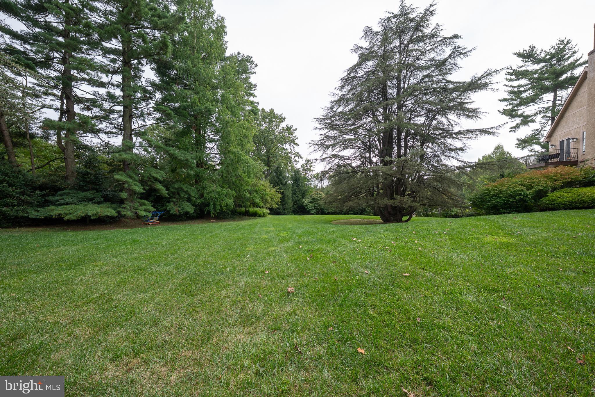 BRYN MAWR - Residential