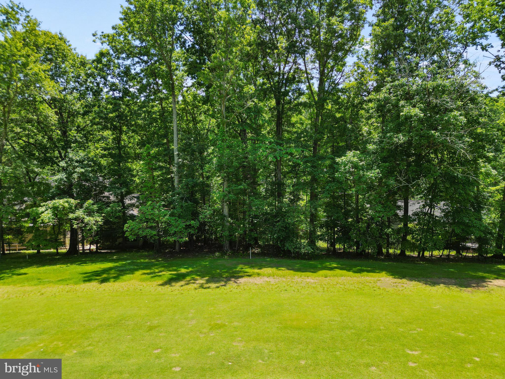 LAKE OF THE WOODS - Land