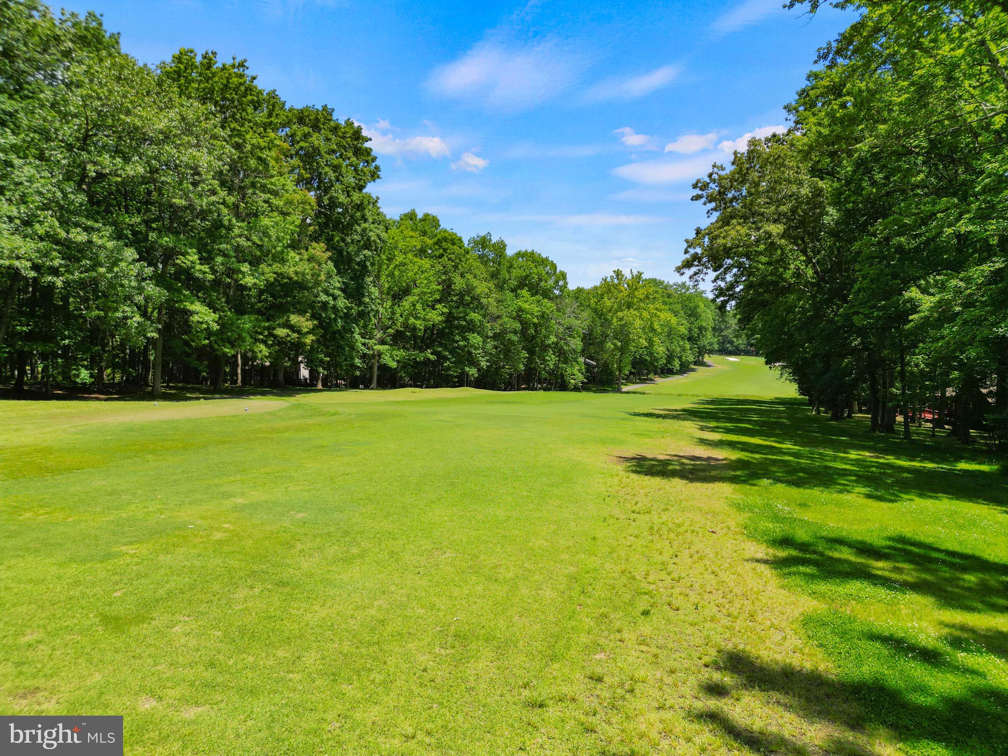 LAKE OF THE WOODS - Land