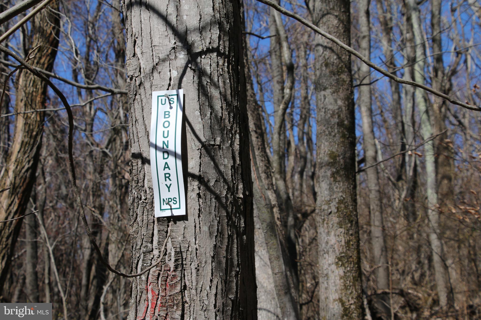 SKYLINE LAKES - Land