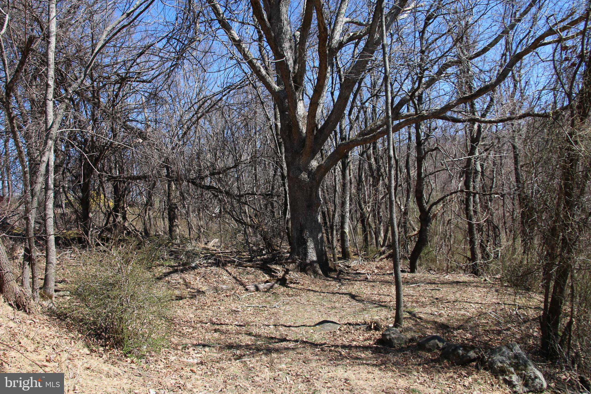 SKYLINE LAKES - Land