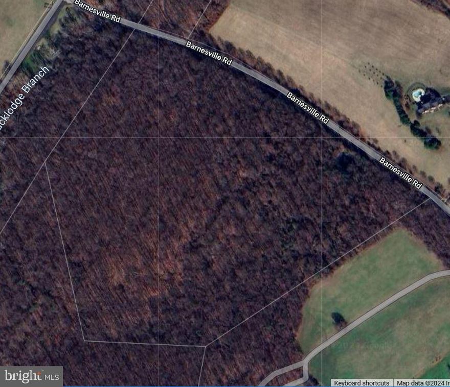 39.34+/- acre private wooded parcel in the Montgomery Co. MD Agricultural Reserve.  Currently, it is raw land with the potential for a maximum of 1 primary dwelling unit. No additional residential subdivision may occur on the subject. Close to major commuter routes and the MARC Train Station in Boyds, MD. POOLESVILLE SCHOOLS! No driveway/entrance exists onto the property, use caution parking on side of road. Do not enter premises without an agent accompanying you and a confirmed appointment.  Buyer/buyer's rep to confirm potential uses other than residential and agricultural with appropriate authorities.