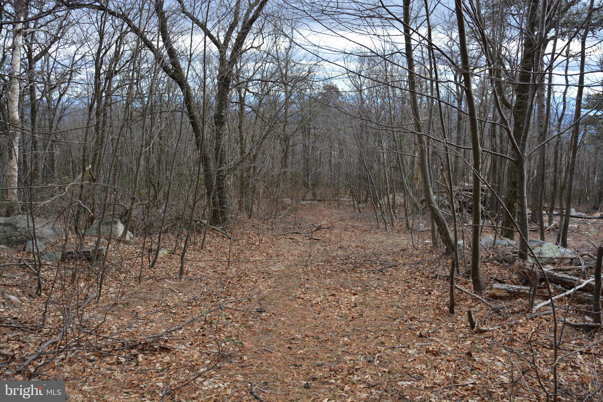 ROCKWOOD TRAIL 49.61 ACRES