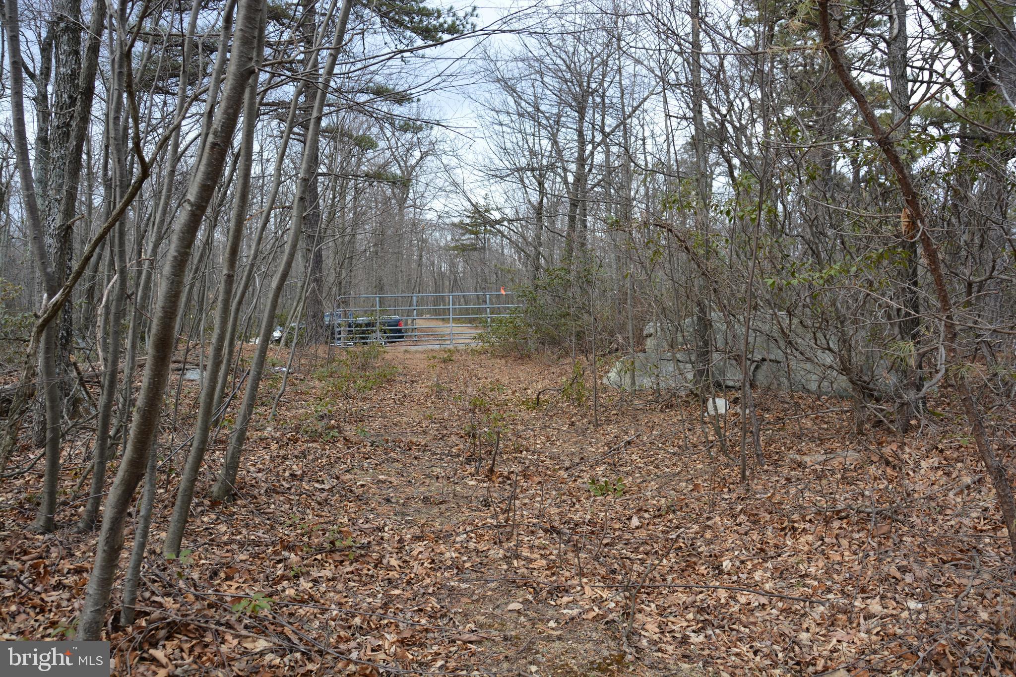 GREAT NORTH MOUNTAIN WILDERNESS - Land