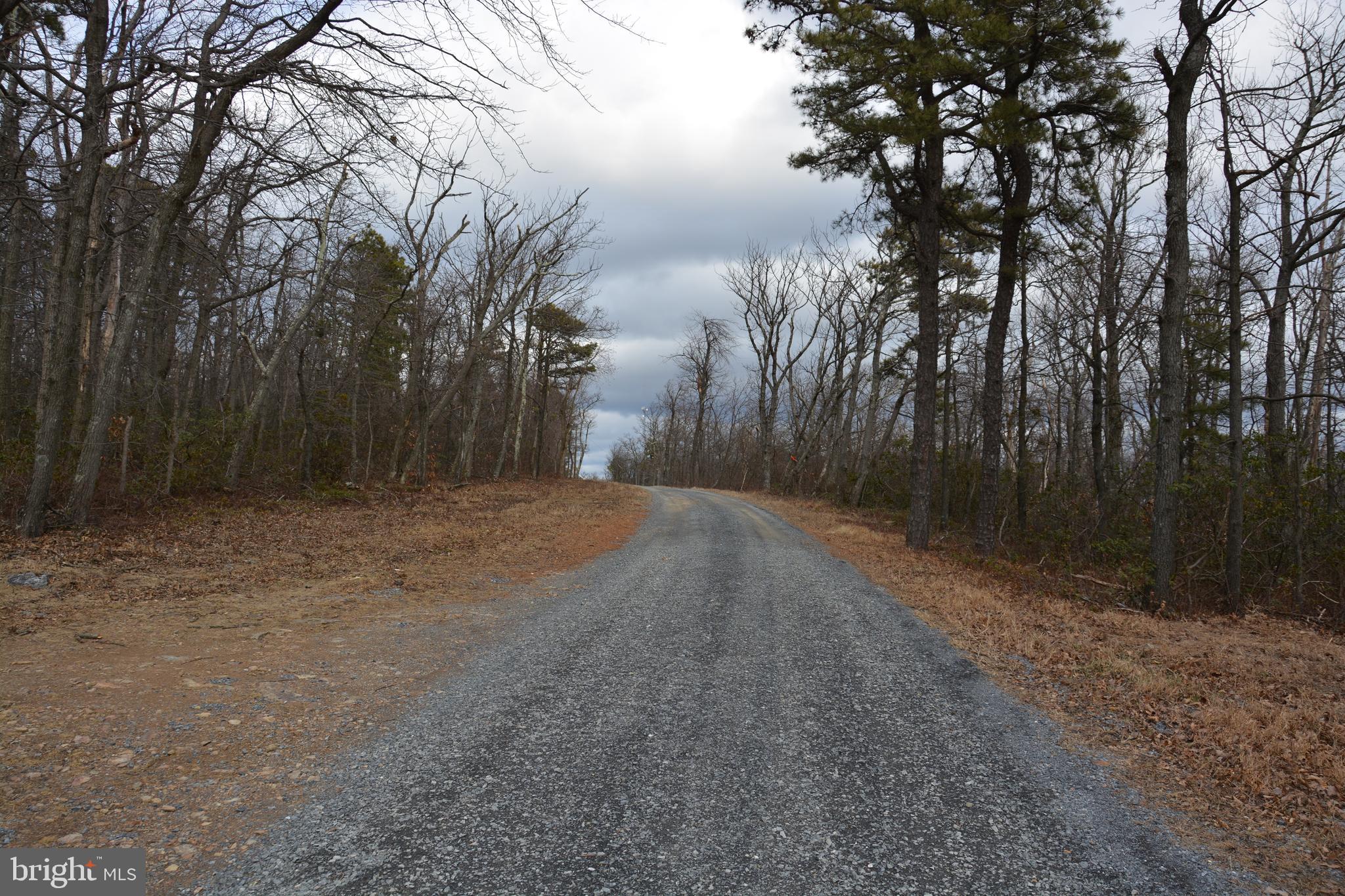 ROCKWOOD TRAIL 49.61 ACRES