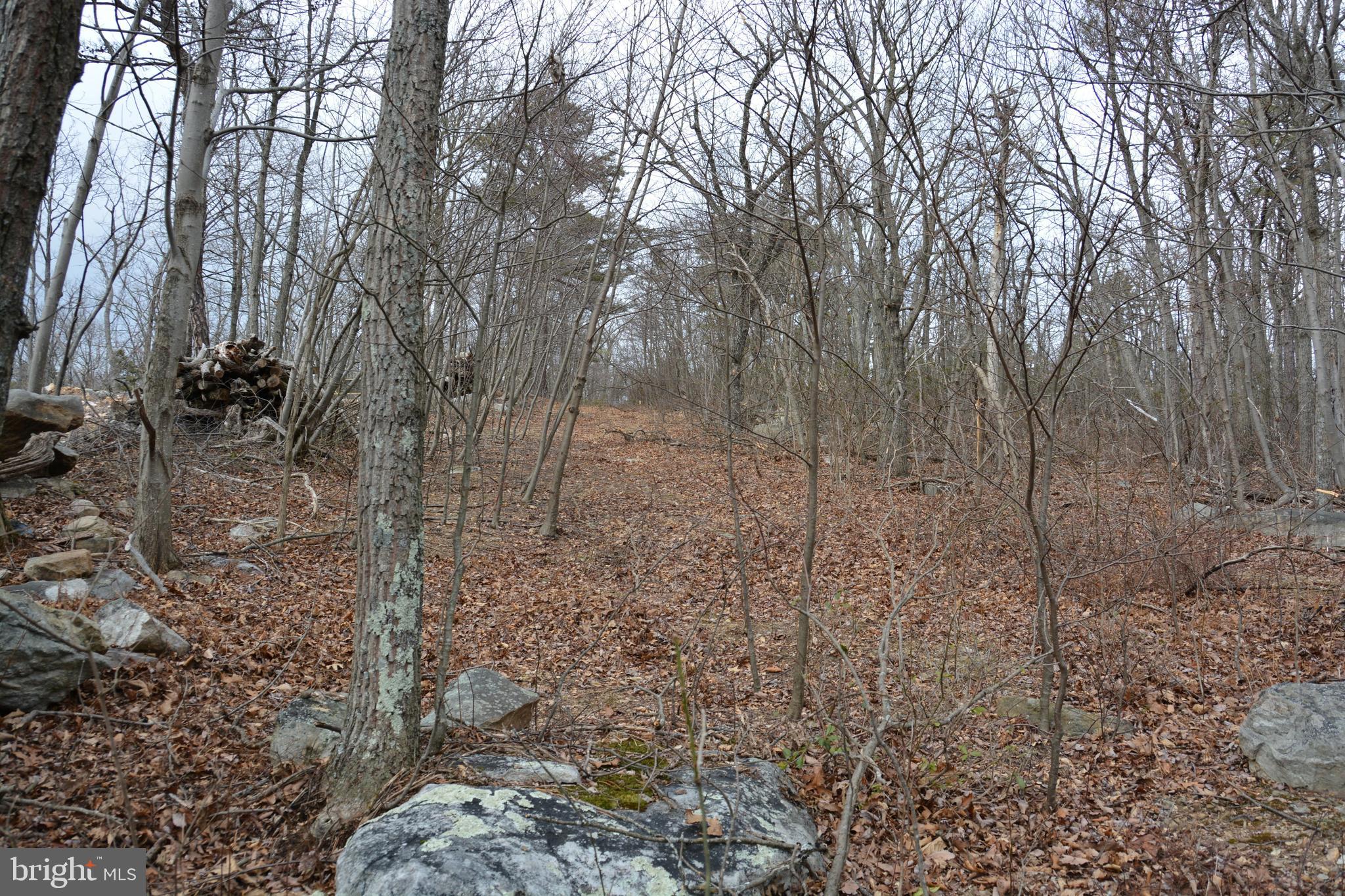 GREAT NORTH MOUNTAIN WILDERNESS - Land