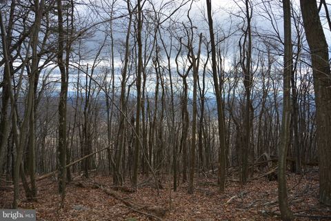 ROCKWOOD TRAIL 49.61 ACRES WINCHESTER VA 22602