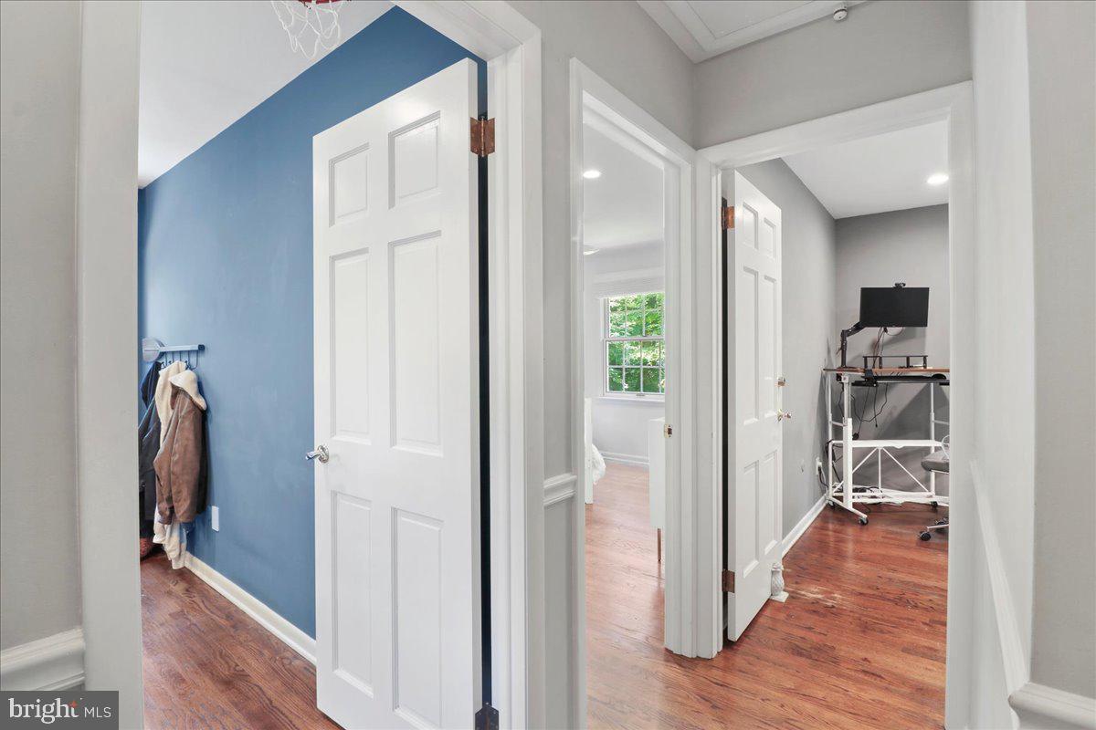 CHESTNUT HILL - Residential