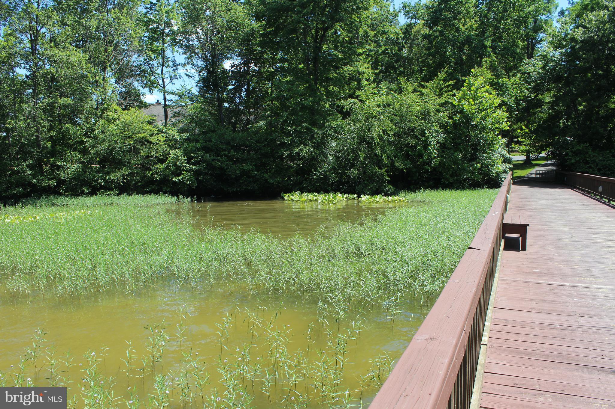 MAPLE SPRINGS - Land