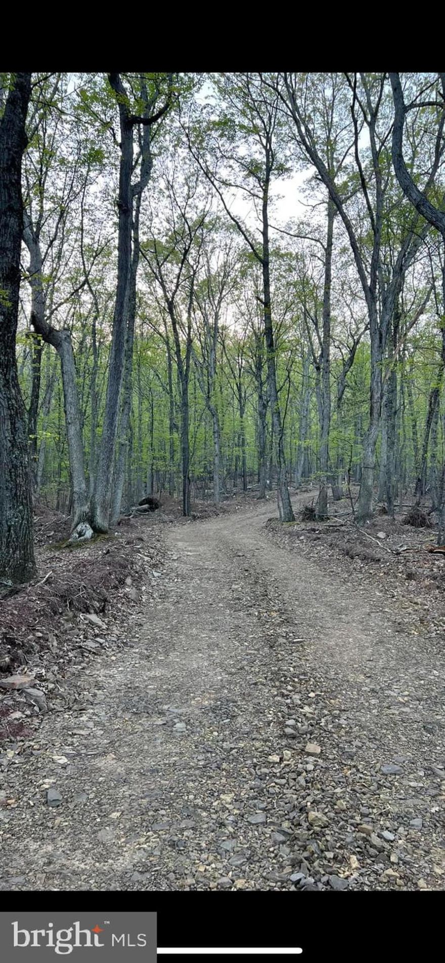 Land ready for your pleasure