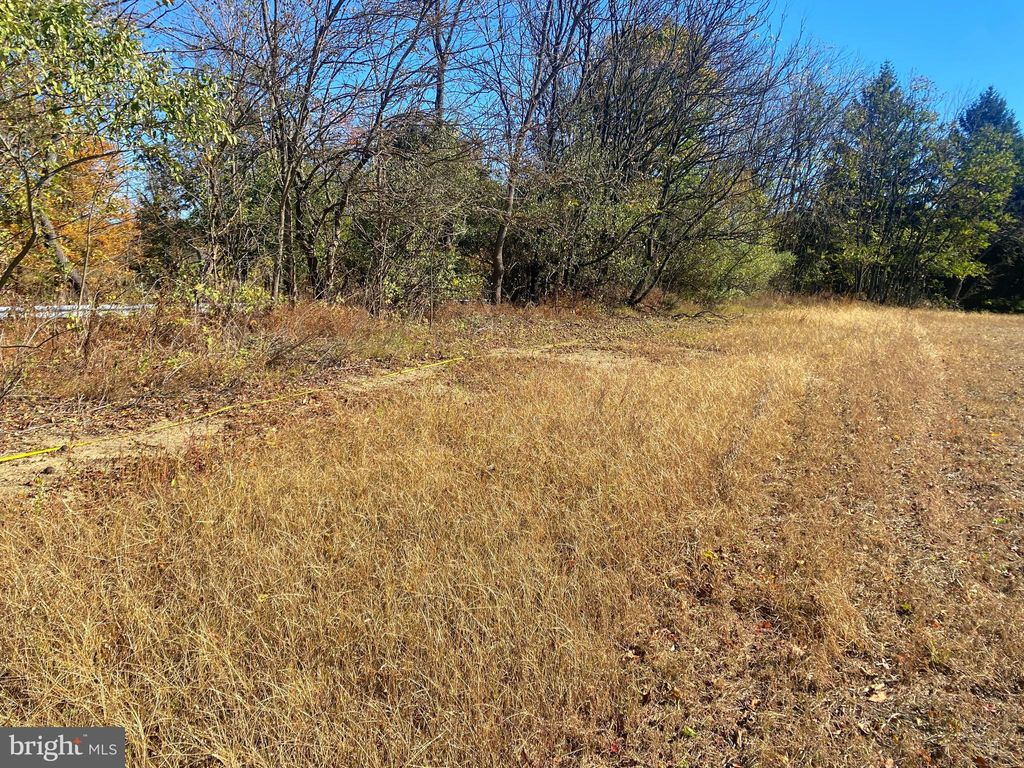 Photo of Allemaengel Road, NEW TRIPOLI, PA 18066 (MLS # PALH2013680)