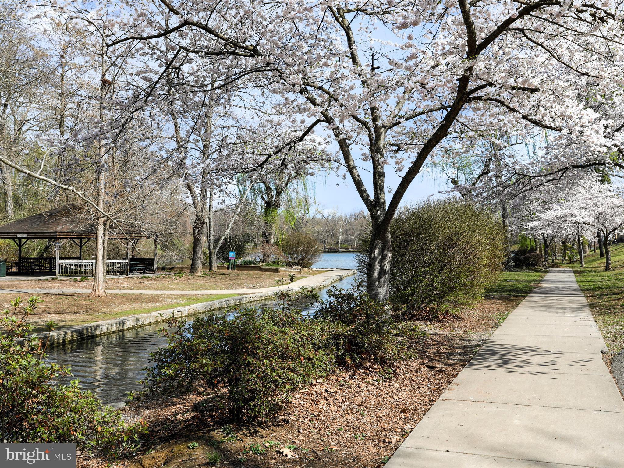 CITY PARK - Residential