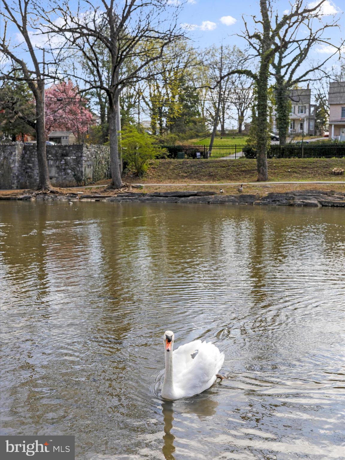 CITY PARK - Residential
