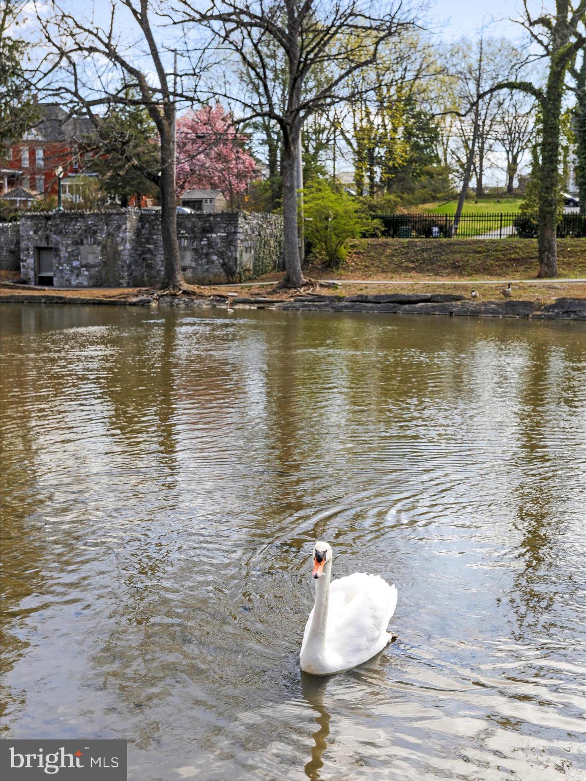 CITY PARK - Residential