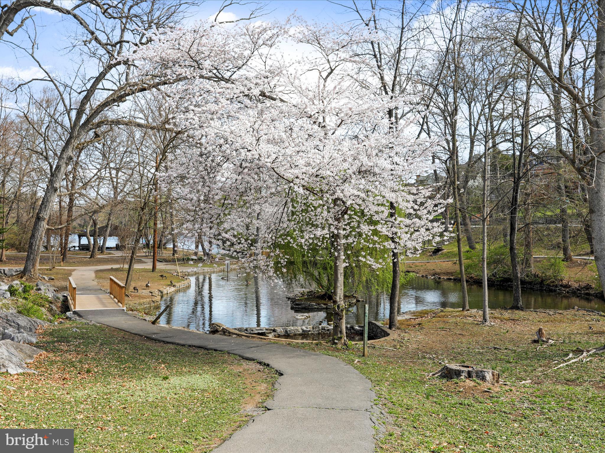 CITY PARK - Residential