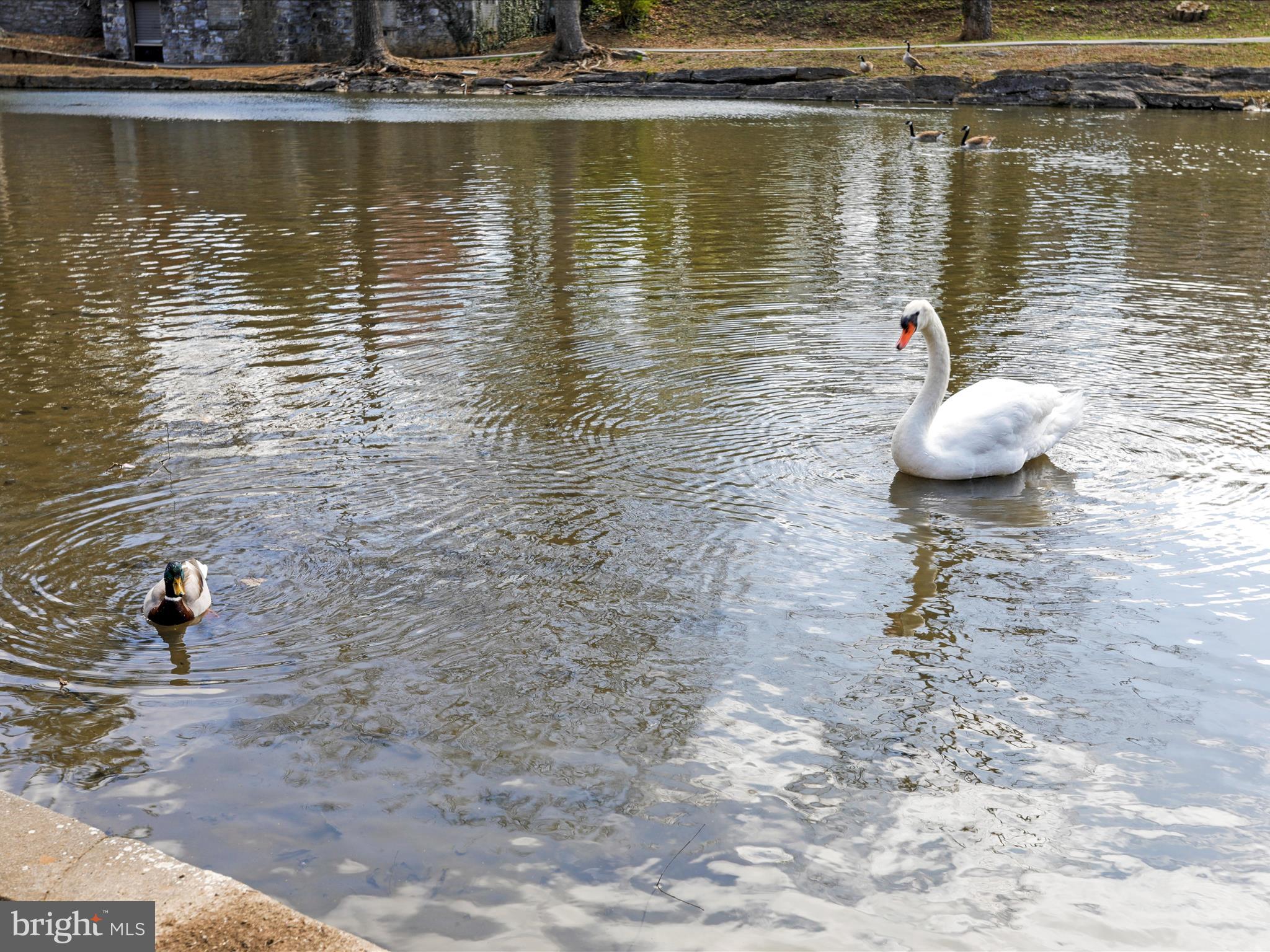 CITY PARK - Residential