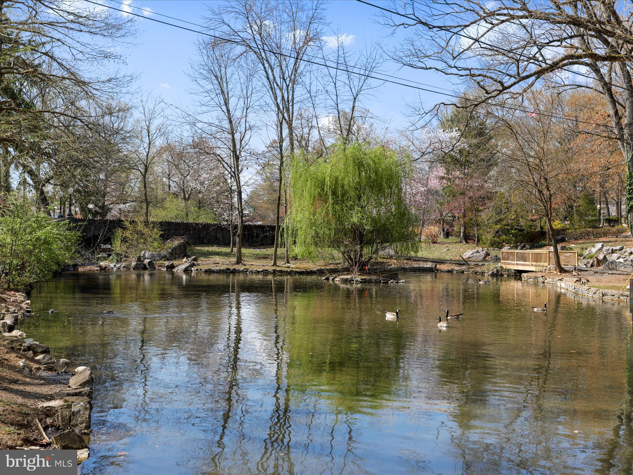 CITY PARK - Residential