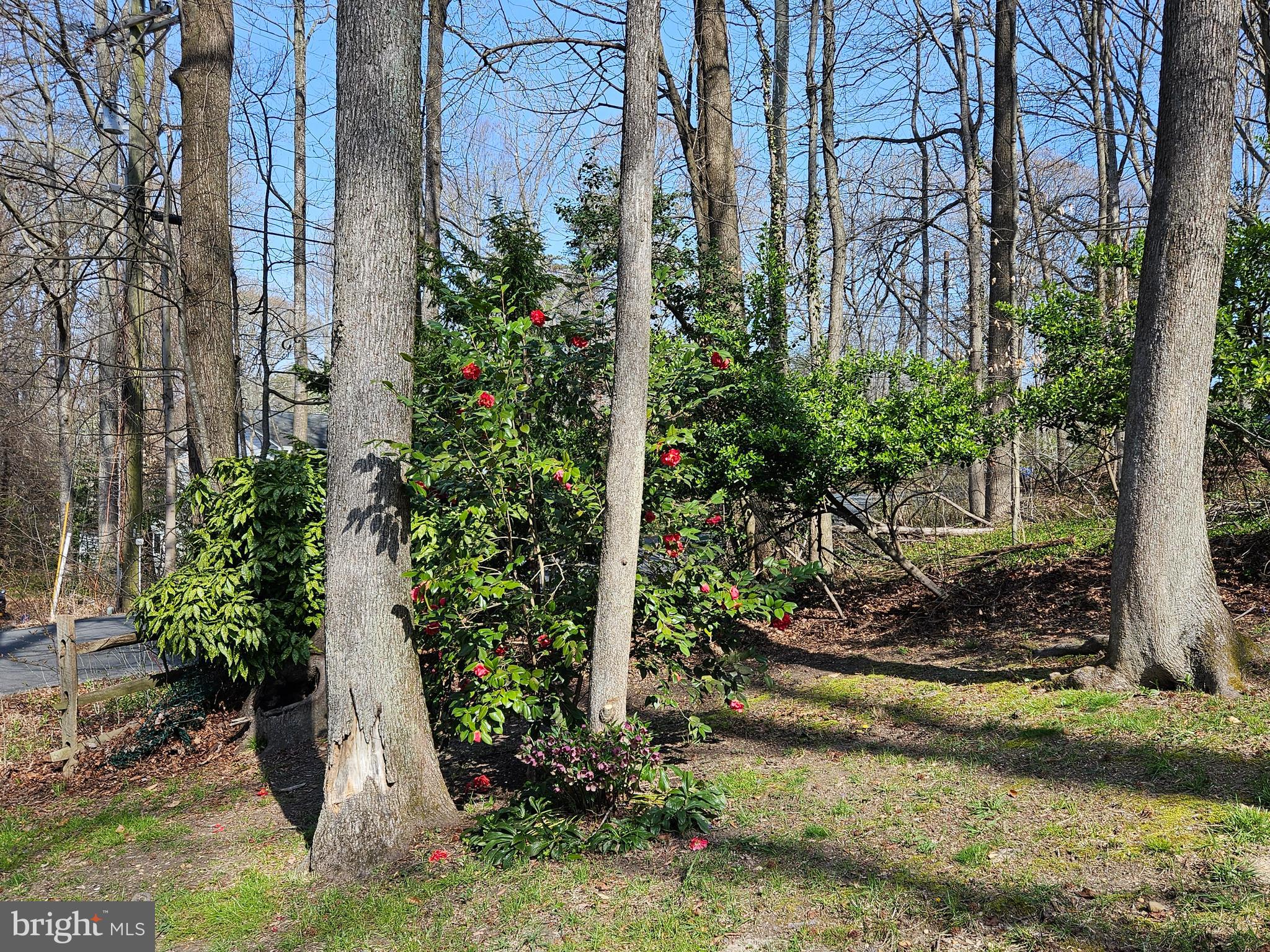 CHESAPEAKE RANCH ESTATES - Residential