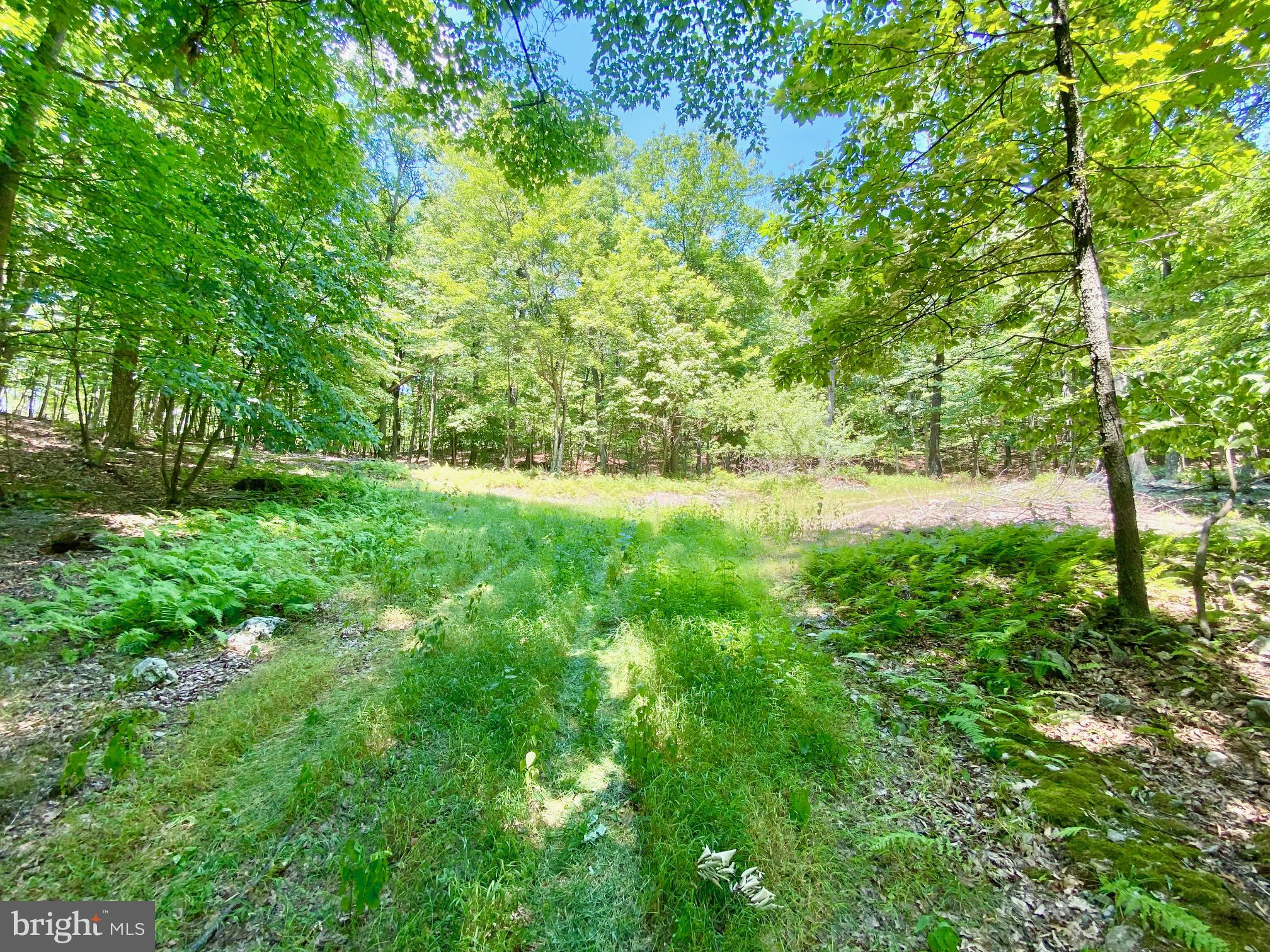 NEW CREEK MOUNTAIN ESTATES - Residential