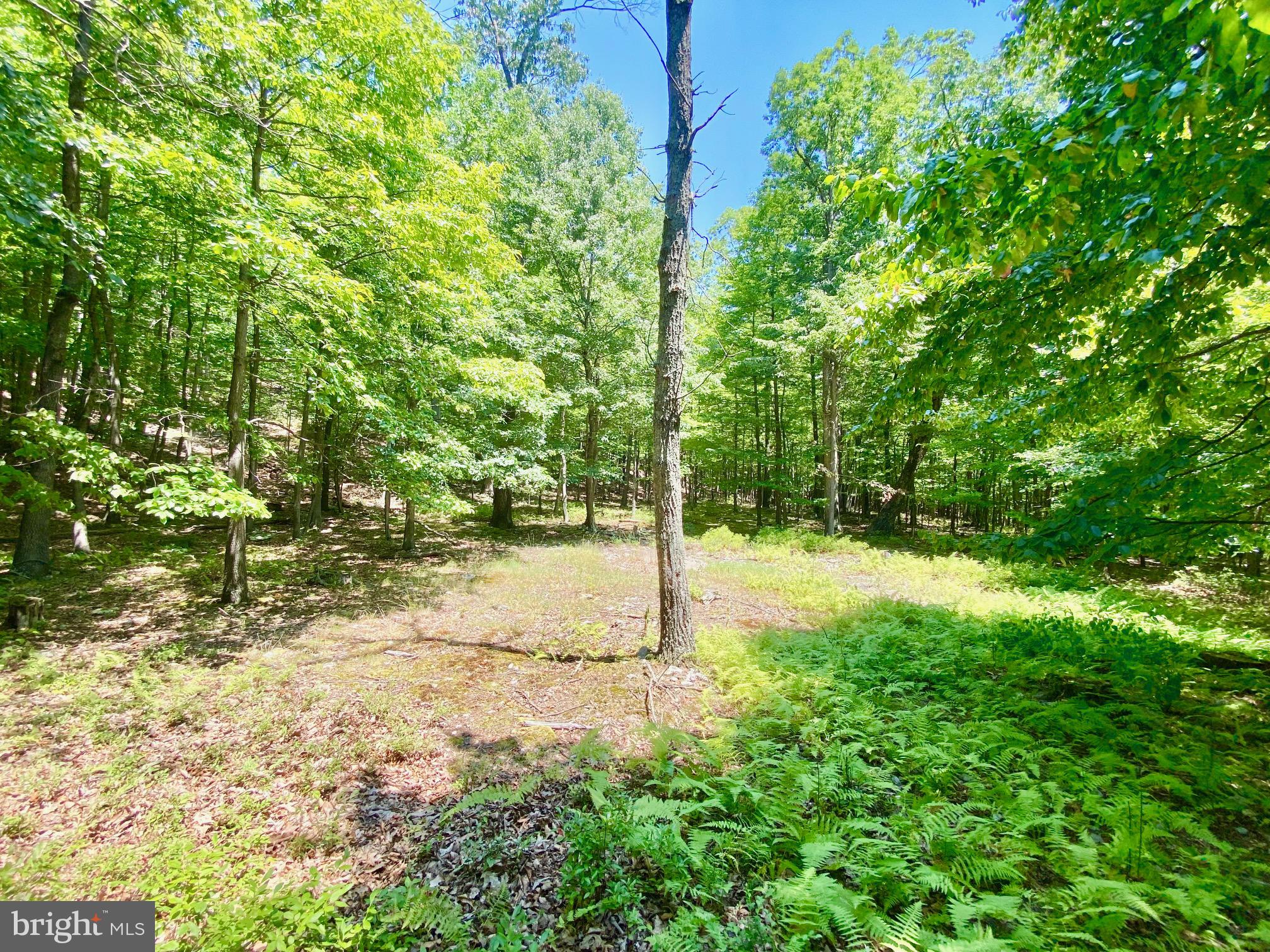 NEW CREEK MOUNTAIN ESTATES - Residential