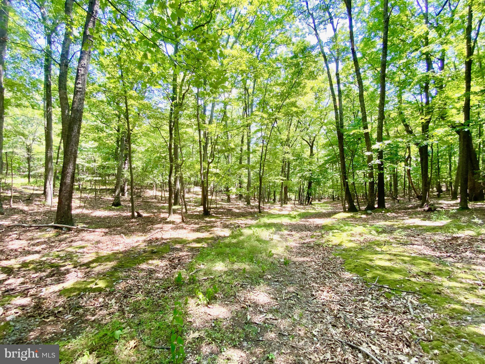 NEW CREEK MOUNTAIN ESTATES - Residential