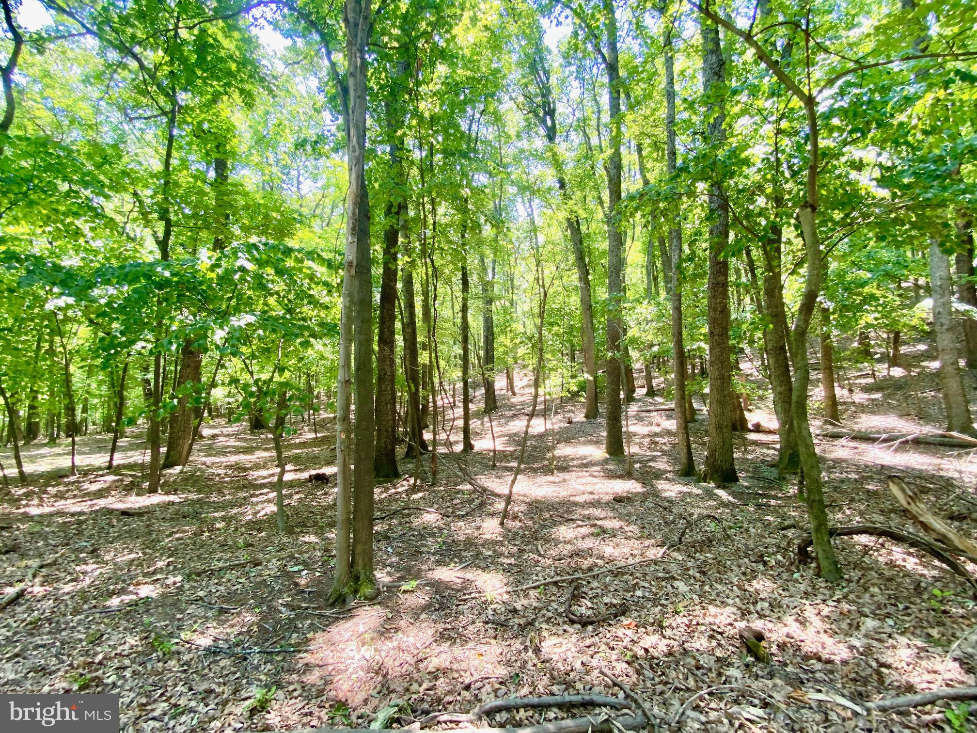 NEW CREEK MOUNTAIN ESTATES - Residential